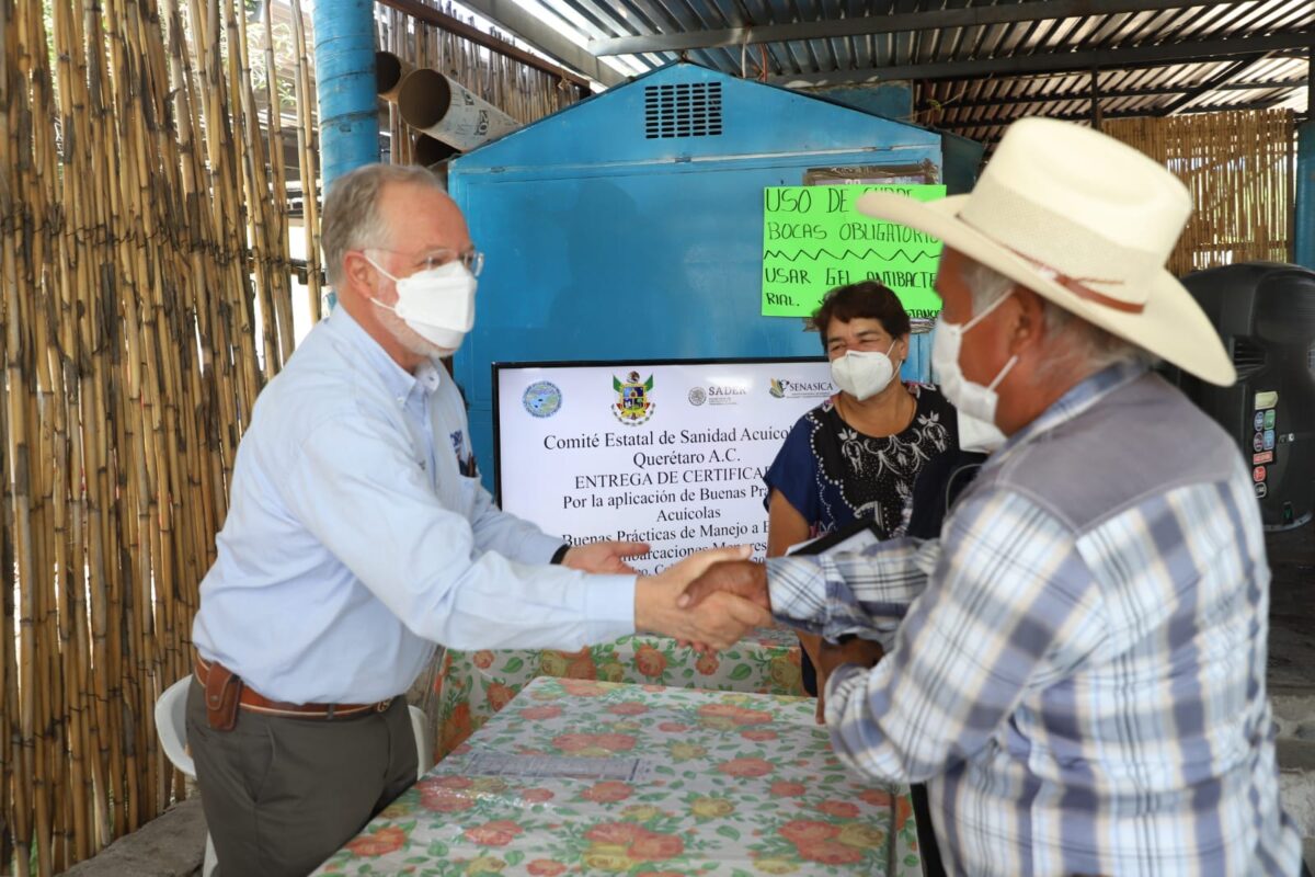 Certificación:  Productores acuícolas de Colón, Cadereyta de Montes y Tequisquiapan reciben certificación de SENASICA.