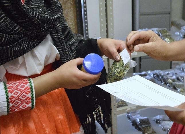 Realiza: Secretaría de Salud acciones para cuidar y atender la salud de la población indígena.