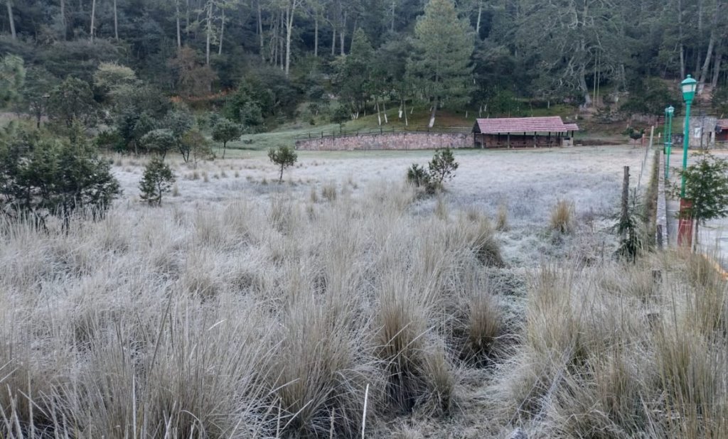 Se registra: Primer helada de la temporada invernal en San Joaquín.