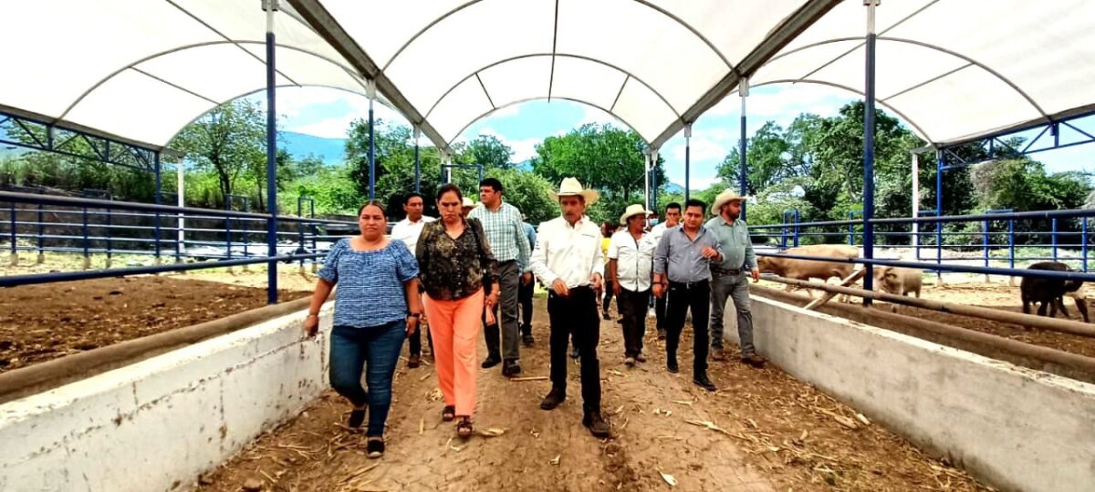 Suman esfuerzos ganaderos y autoridades serranas para rescatar al sector primario