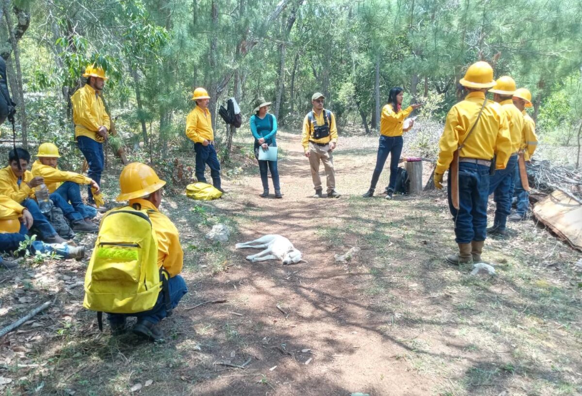 Recorren Valle Verde para Prevenir Incendios en Jalpan