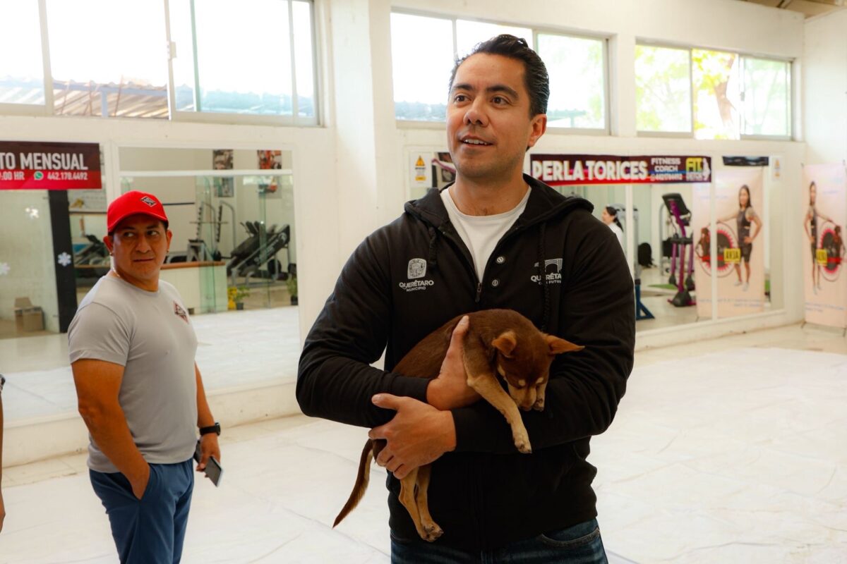 Avanza la Secretaría de Bienestar Animal en protección y cuidado de los animales de compañía