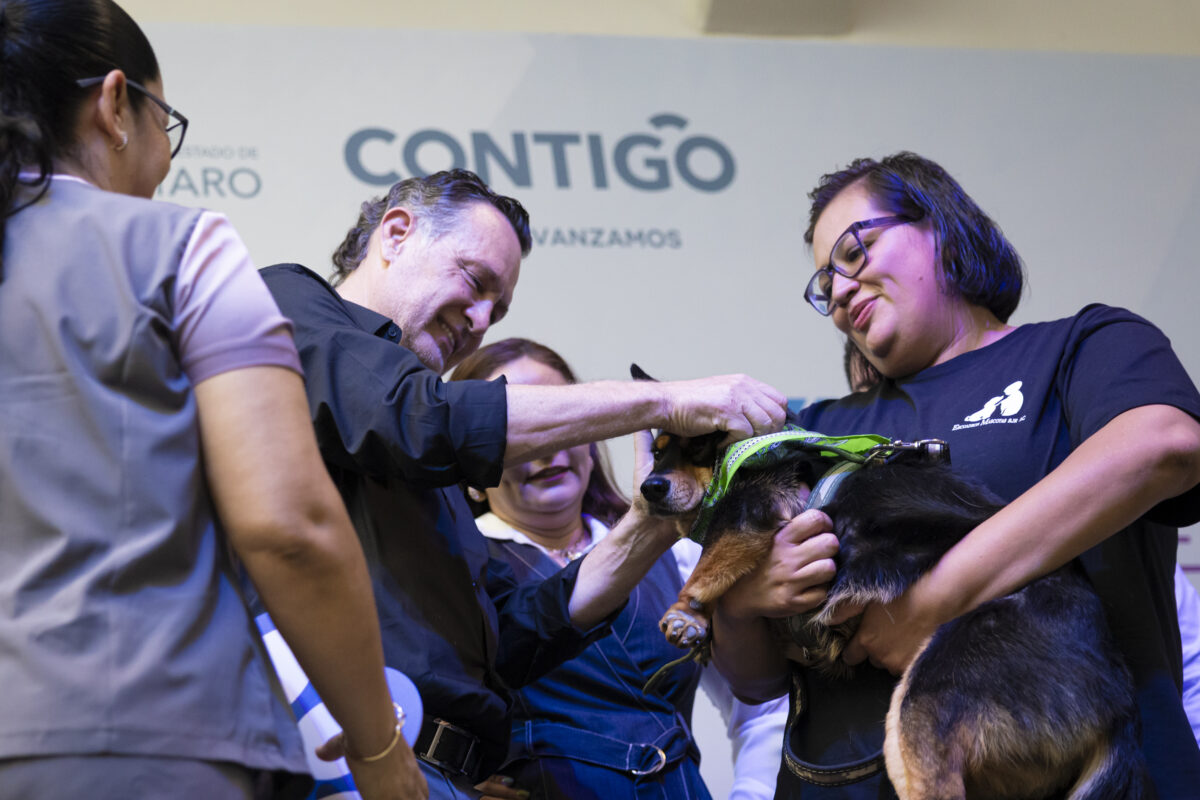 Llega el Croquetón 2025 un trabajo conjunto por el bienestar animal