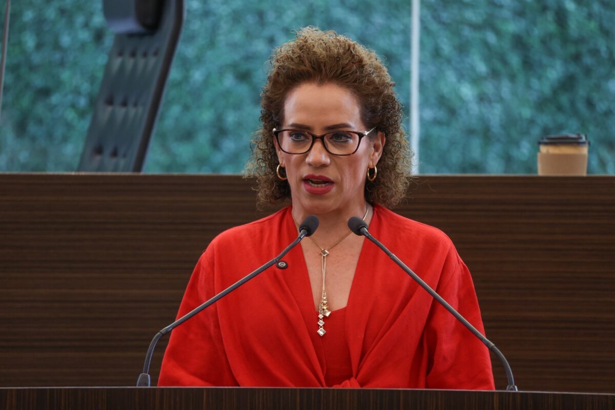 Diputada Adriana Meza vota en contra de reforma a los artículos 115 y 116 de la Constitución Federal