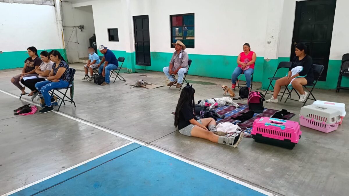 En Jalpan reafirman su compromiso con la protección animal con campañas de esterilización