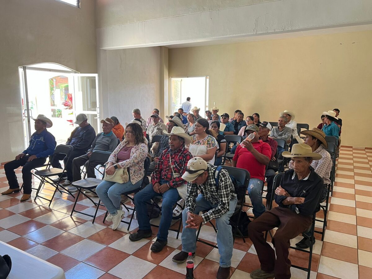 Fortalecen Cuidado del  Campo en Pinal de Amoles contra el Gusano Barrenador