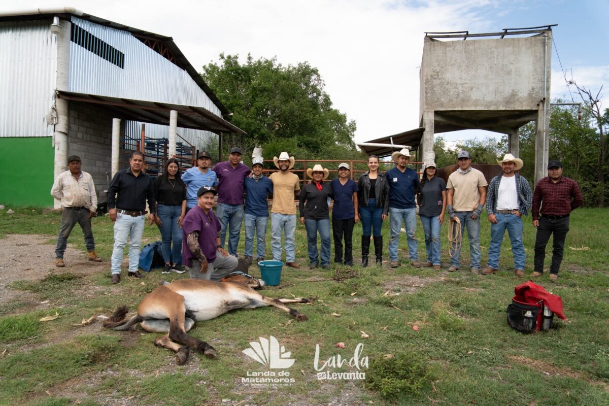 Todo un Éxito Jornada de Atención Veterinaria para Equinos de Trabajo