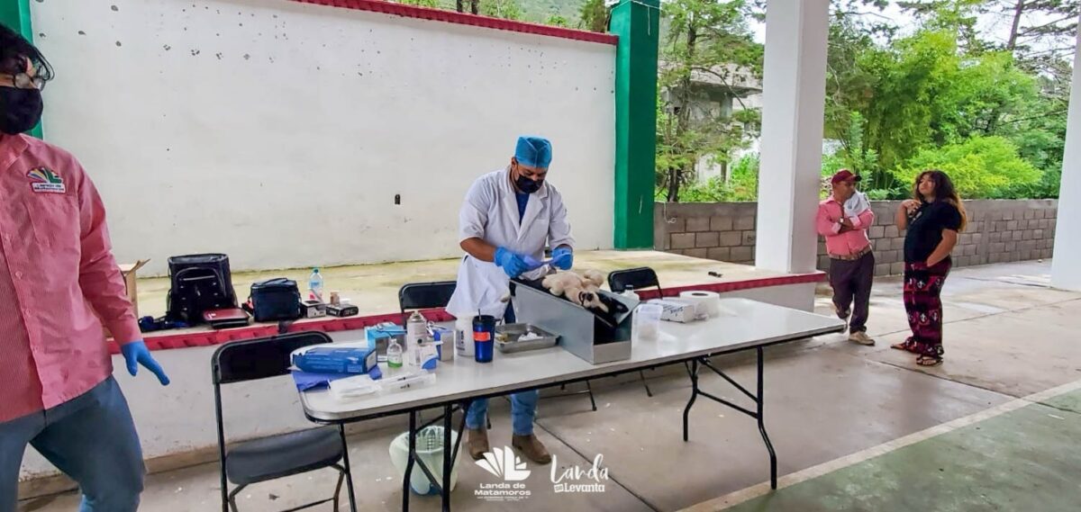 Jornadas de esterilización de Landa promueven bienestar animal&nbsp;