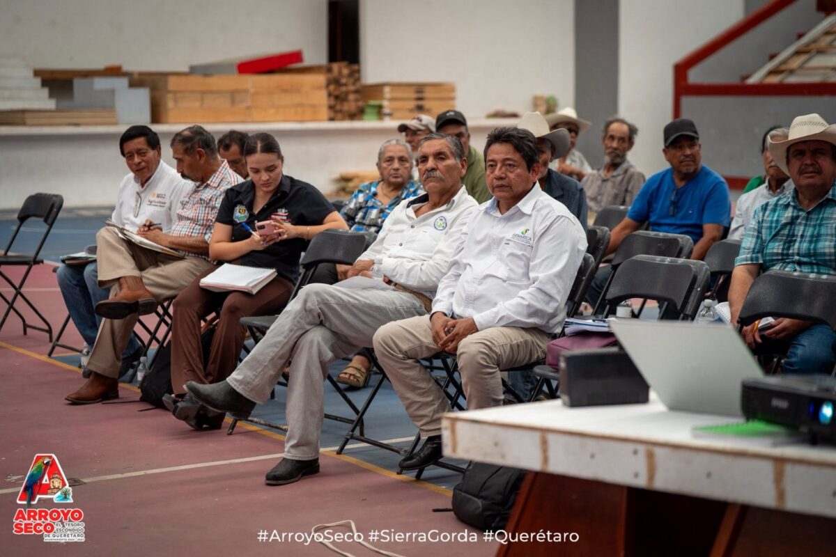 Se realizó&nbsp; reunión regional para el seguimiento de estrategias de sanidad vegetal